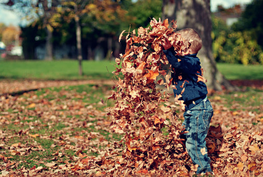 10 Fall Activities for Kids