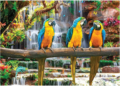 Birds of Paradise Puzzle